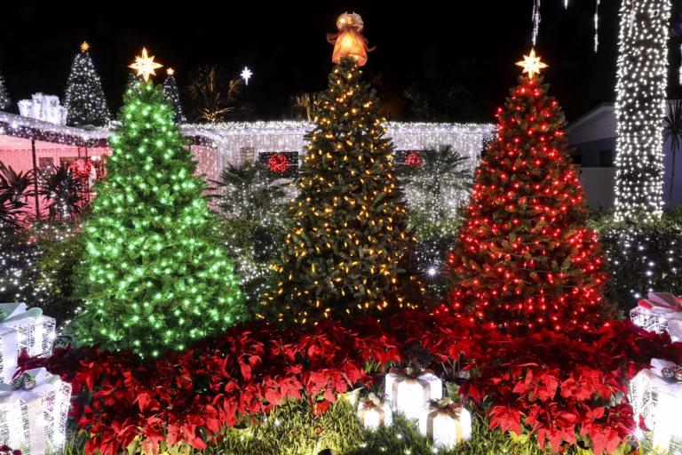 Three beautifully lit Christmas trees in a festive outdoor display, featuring green, amber, and red lights, surrounded by red poinsettias, glowing gift boxes, and a house adorned with white holiday lights in the background.